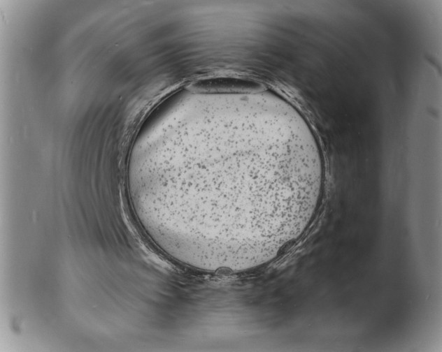 X0000102220097200808221255