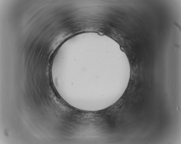 X0000102220098200808221255