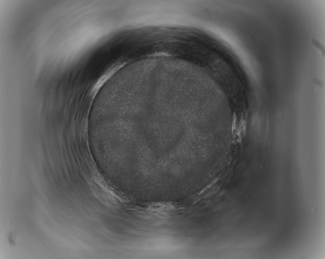 X0000102220099200808221255