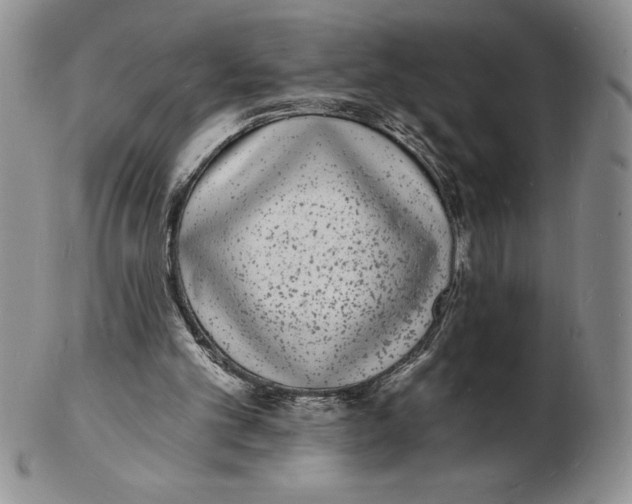 X0000102220101200808221254