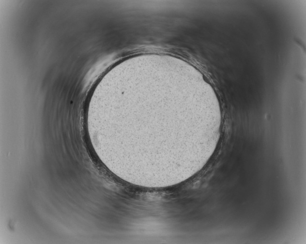 X0000102220103200808221254