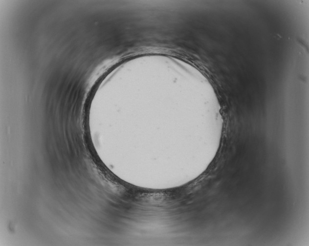 X0000102220104200808221254