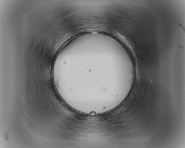 X0000102220105200808221254