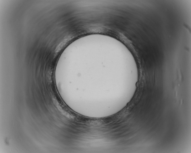 X0000102220106200808221254