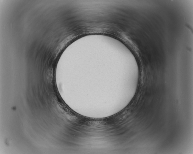 X0000102220107200808221254