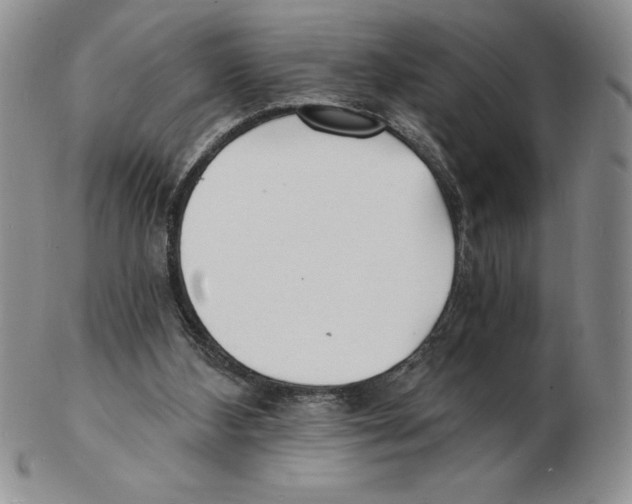 X0000102220108200808221254