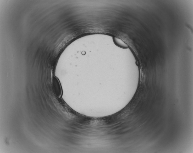 X0000102220109200808221254