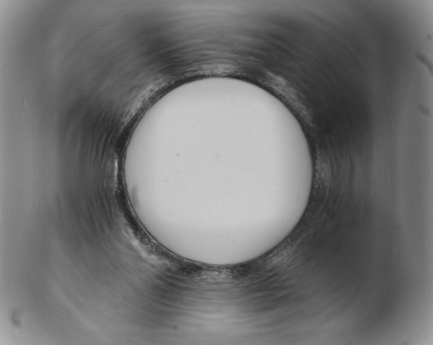 X0000102220110200808221254