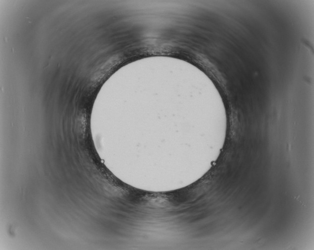 X0000102220113200808221254