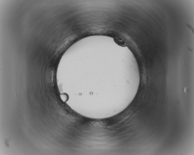 X0000102220115200808221254