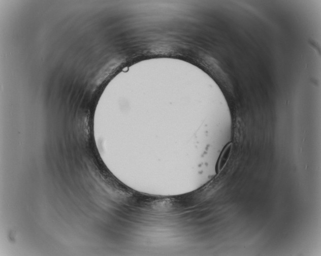 X0000102220116200808221254