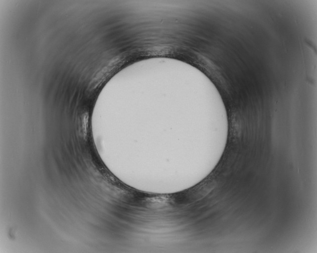 X0000102220118200808221254