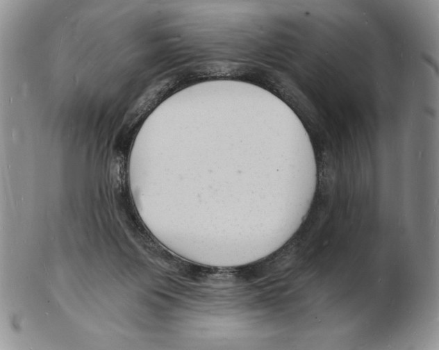 X0000102220119200808221254