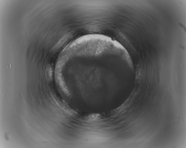 X0000102220124200808221254