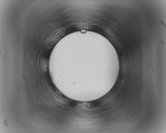 X0000102220125200808221254