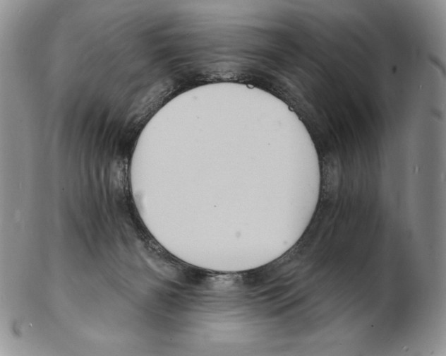 X0000102220126200808221254