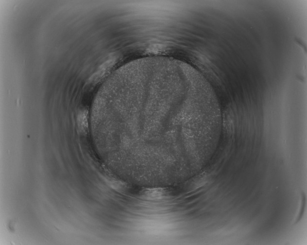 X0000102220127200808221254