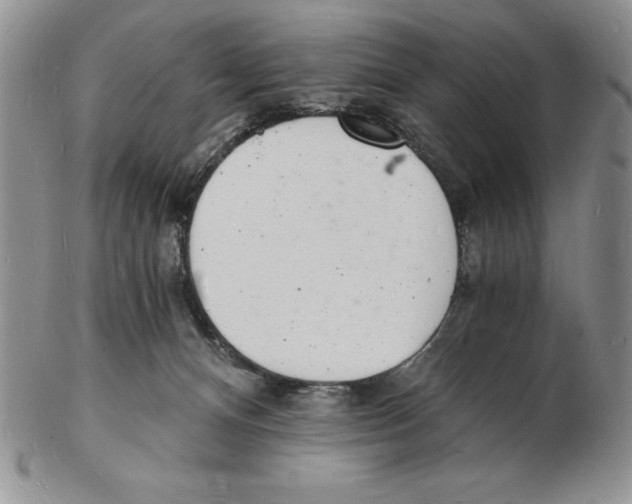 X0000102220128200808221254