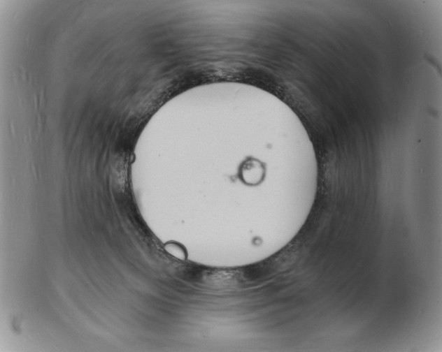 X0000102220129200808221254