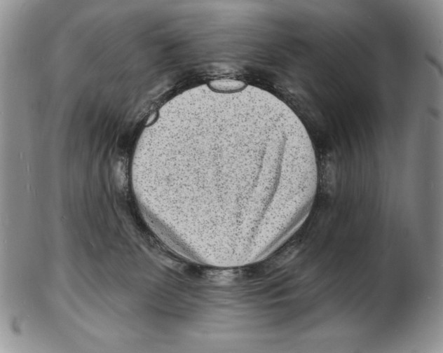 X0000102220131200808221254