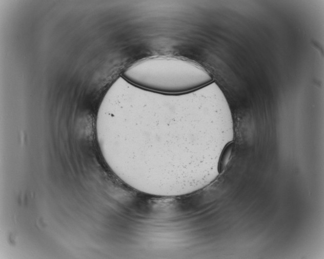 X0000102220132200808221254