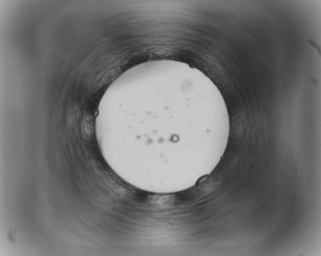 X0000102220135200808221254