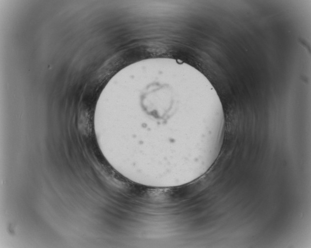 X0000102220136200808221254