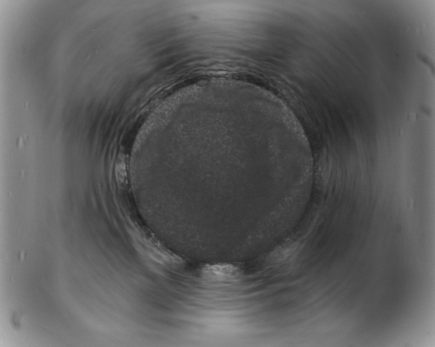 X0000102220137200808221254