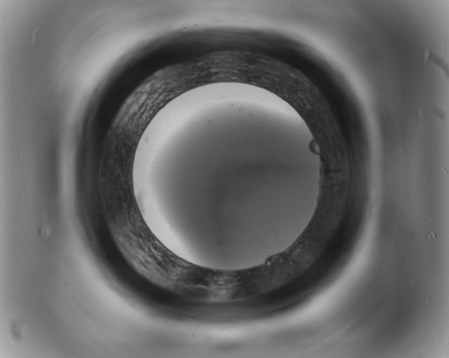 X0000102220143200808221254