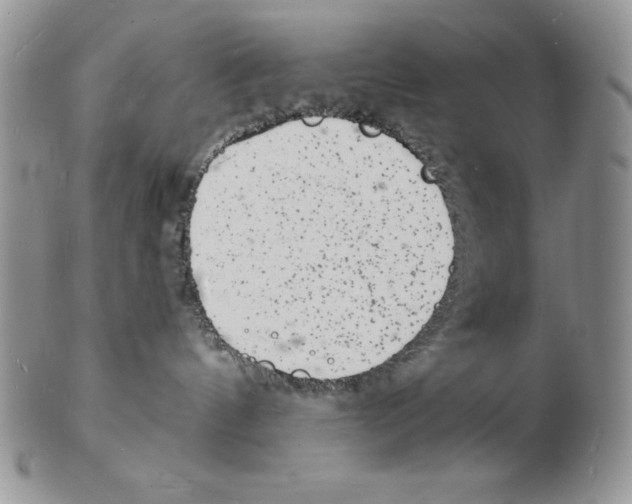 X0000102220144200808221254