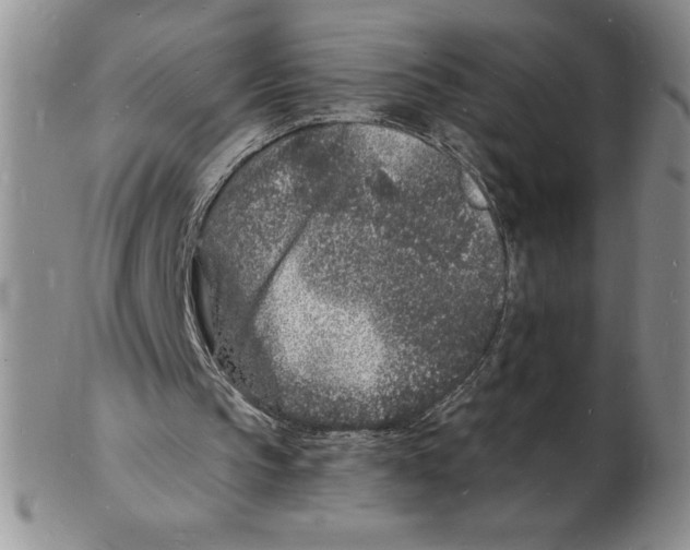 X0000102220145200808221253