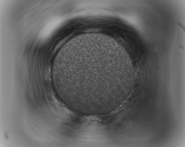 X0000102220146200808221253