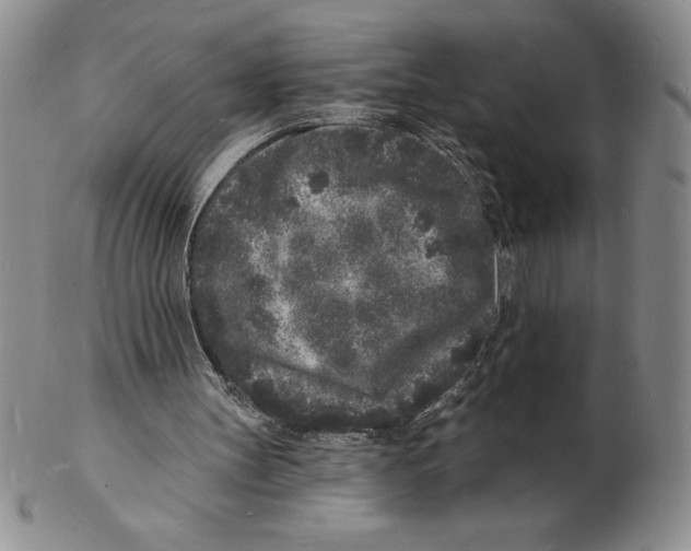 X0000102220147200808221253