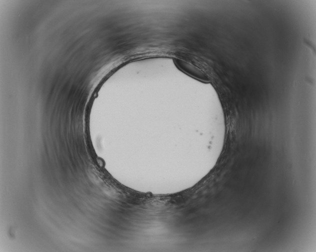 X0000102220148200808221253