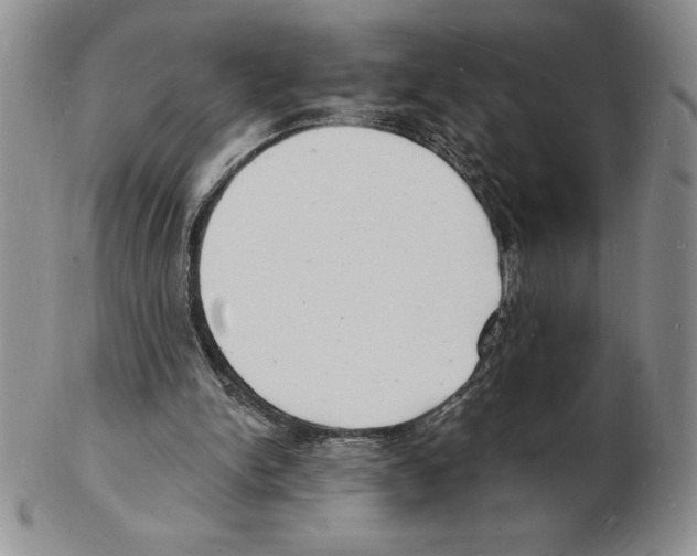 X0000102220150200808221253