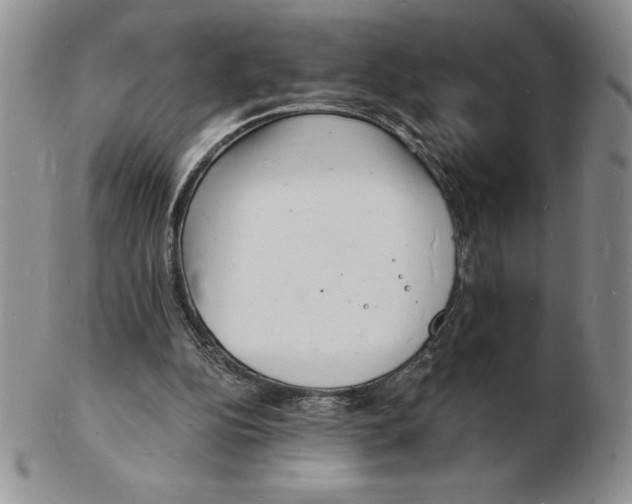 X0000102220152200808221253