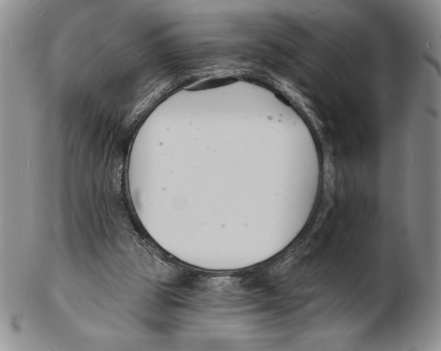 X0000102220153200808221253