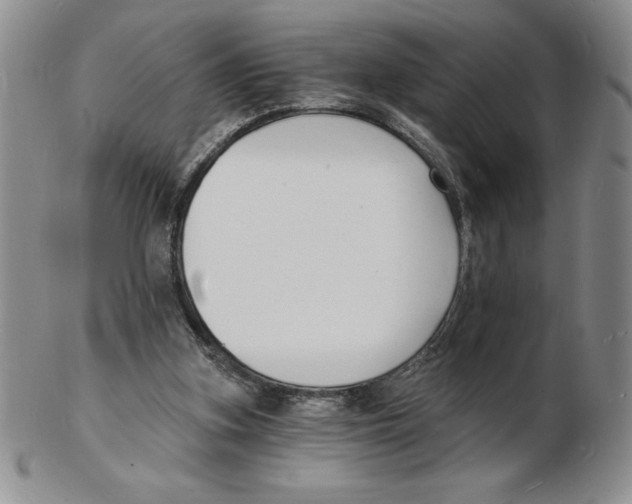 X0000102220155200808221253