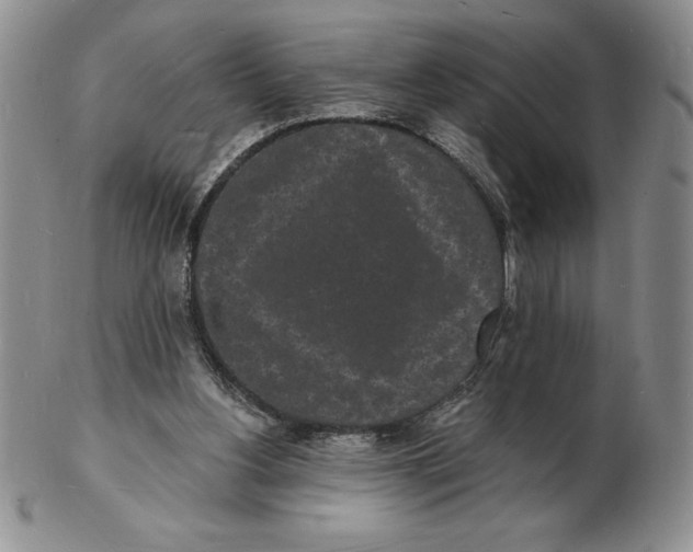 X0000102220156200808221253