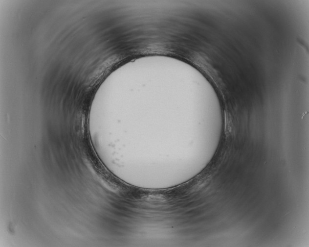 X0000102220157200808221253