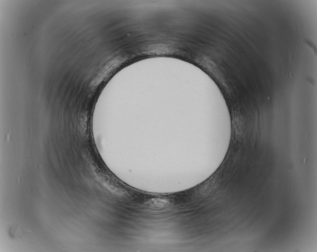 X0000102220159200808221253