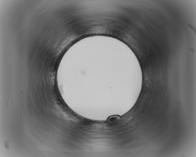 X0000102220160200808221253