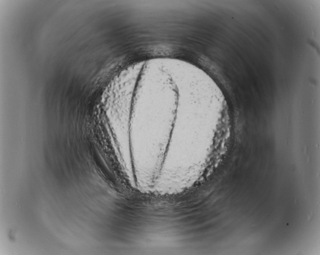 X0000102220161200808221253