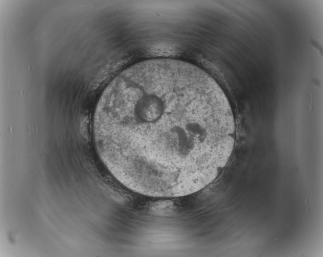 X0000102220162200808221253