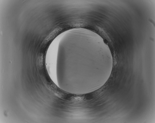 X0000102220163200808221253