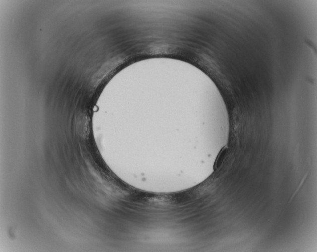 X0000102220164200808221253