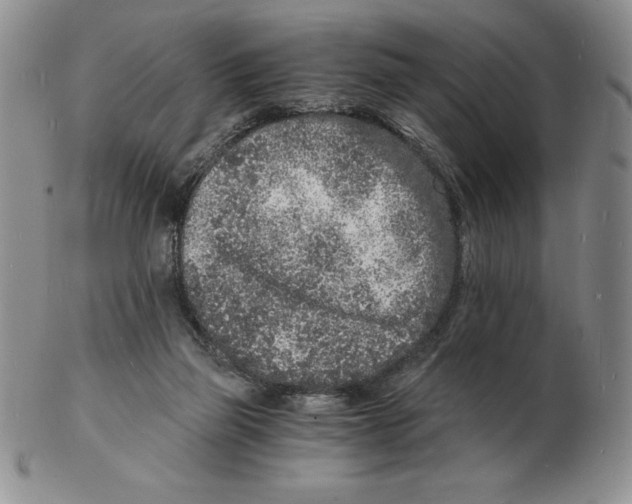 X0000102220165200808221253