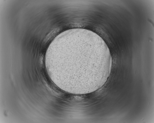 X0000102220166200808221253