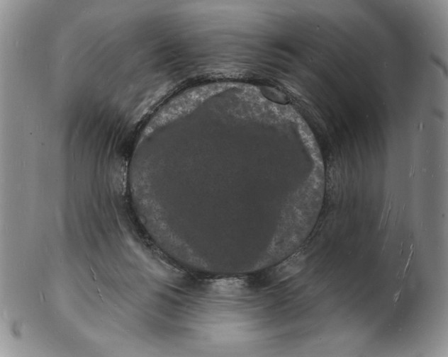 X0000102220168200808221253