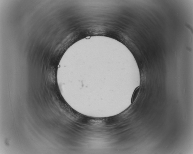 X0000102220170200808221253